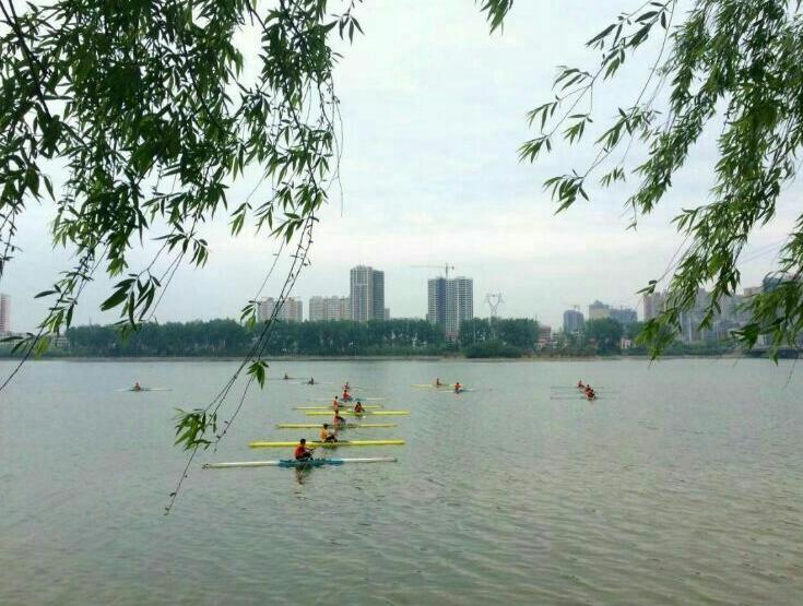 南阳市都有哪些中专学校,南阳卫校中专招生简章