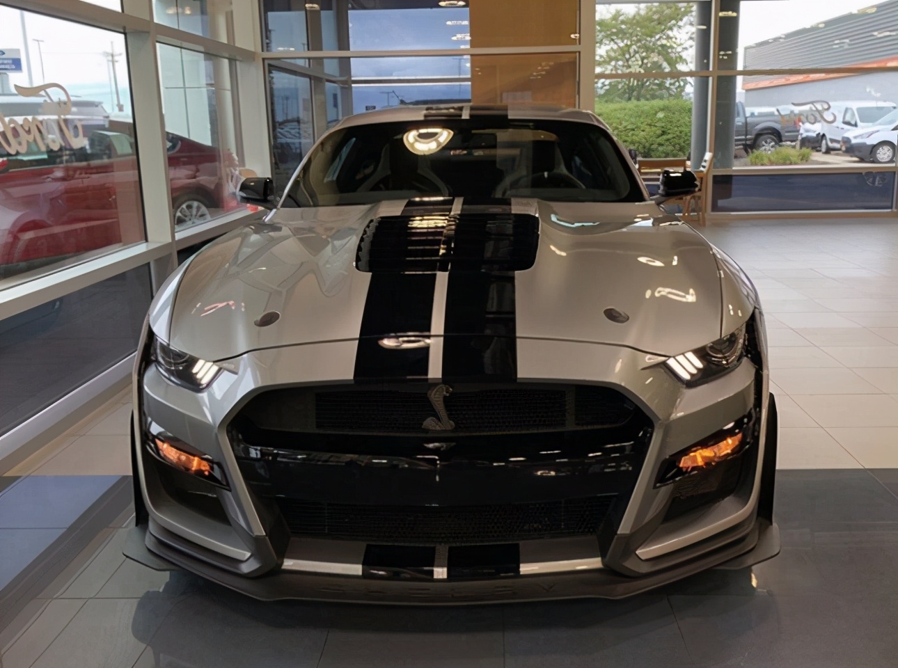 红标眼镜蛇野马声浪,福特蛇标野马