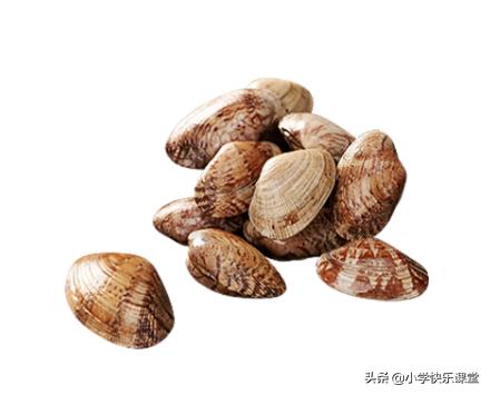 中国最难读的食物名字,最常见的食物名字