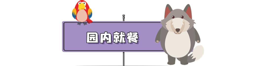 长隆飞鸟乐园长隆熊猫酒店怎么选,周一长隆野生动物园游玩攻略