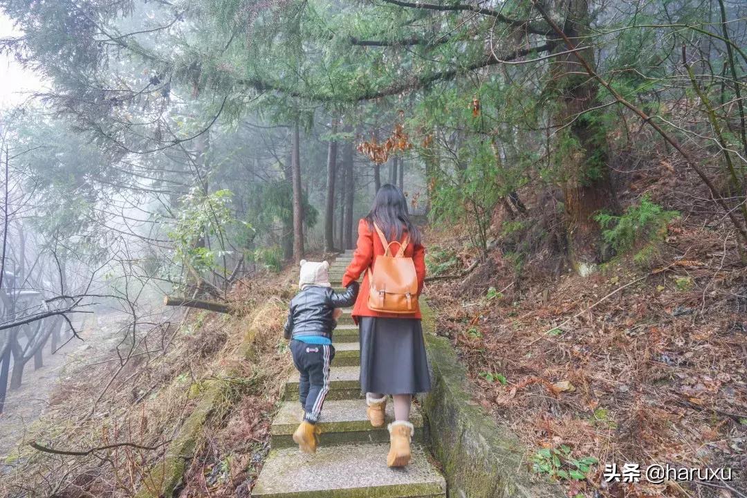 南方也能下雪吗,南方也能见到雪