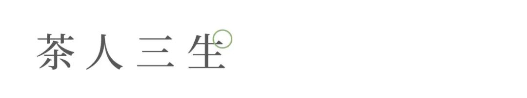 关于我们的茶生活的美文,茶与生活的美文