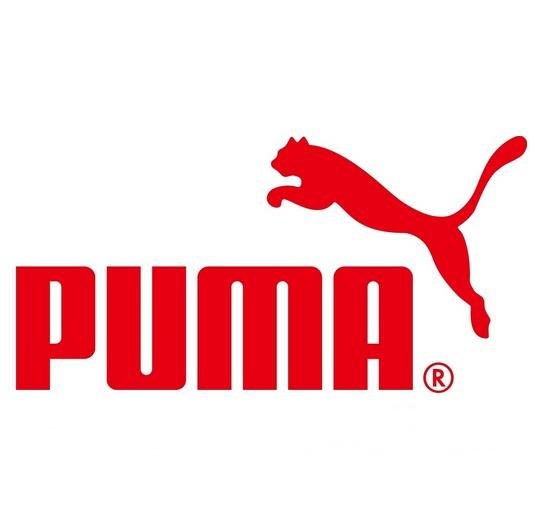 阿迪达斯puma,阿迪达斯的创始人