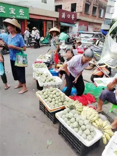 湛江释迦果,我们吃不起的五大顶级海鲜