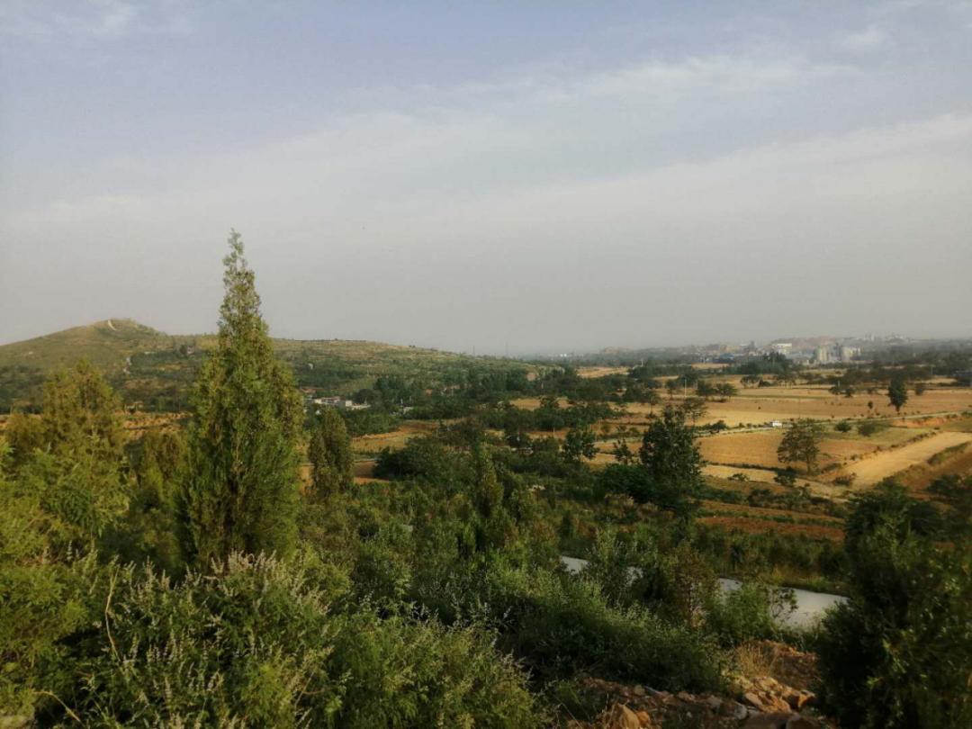 “看许昌赞许昌”采访团走进禹州领略乡村旅游发展