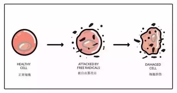 明星童颜秘诀，每1秒卖出10瓶的TA，素人高呼有效淡纹、去暗沉！