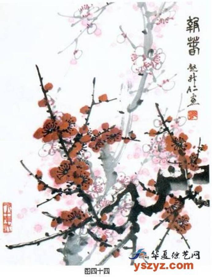 梅花画法简笔画,梅花画法的视频