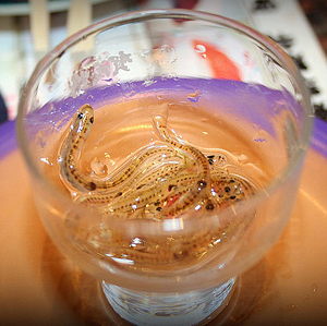 把青蛙榨成汁,秘鲁鲜榨青蛙的做法