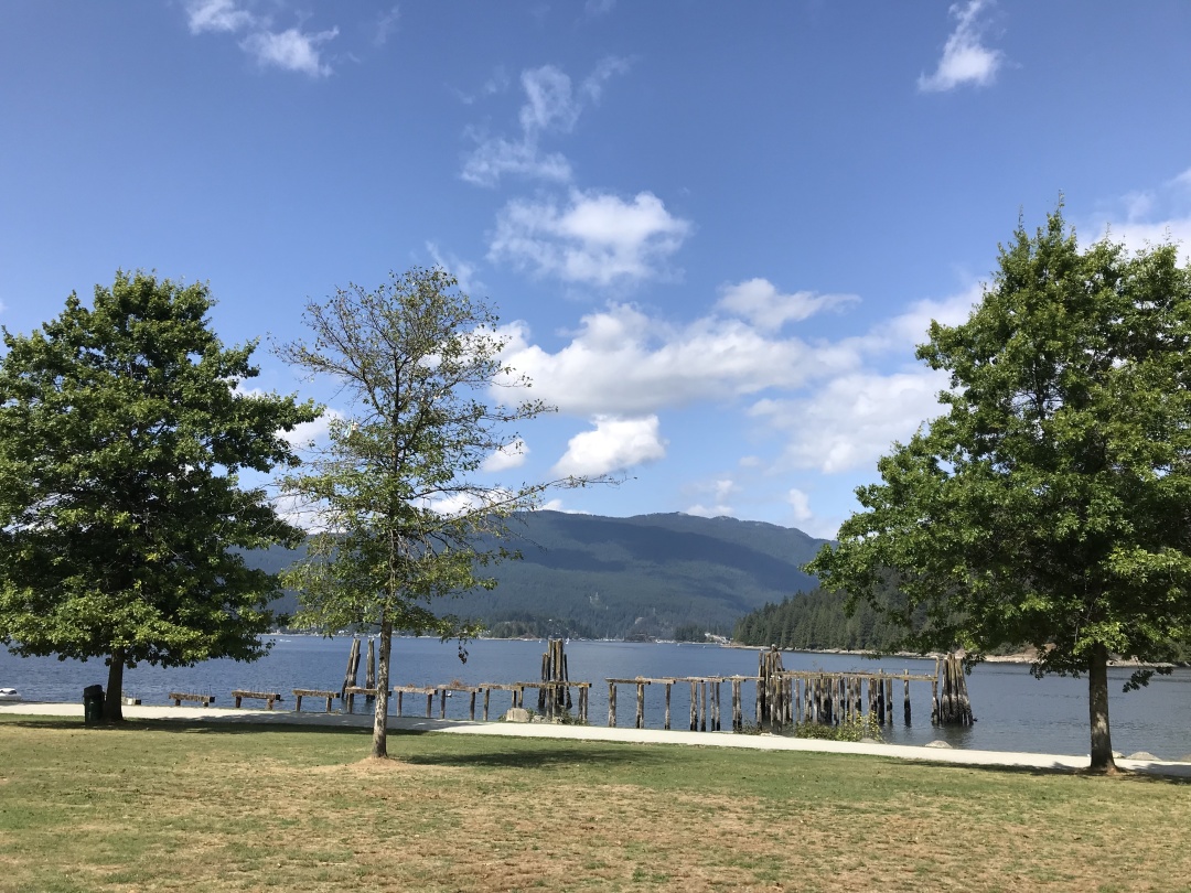 coach十大必买经典款包,coach奥莱包瑕疵