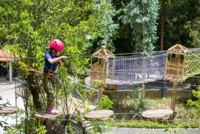 可拉熊团购,深圳可拉熊丛林探险营地团购门票