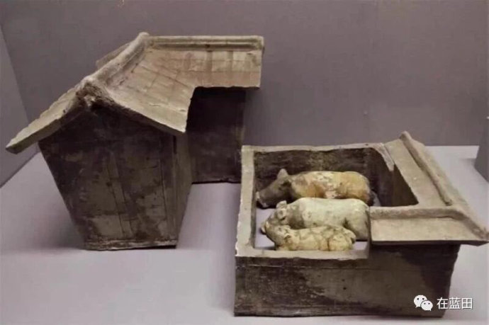 猪年写猪词,猪年像猪一样的吉祥话