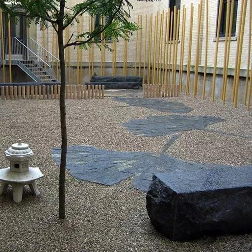 校园文化景观改造设计,校园景观改造