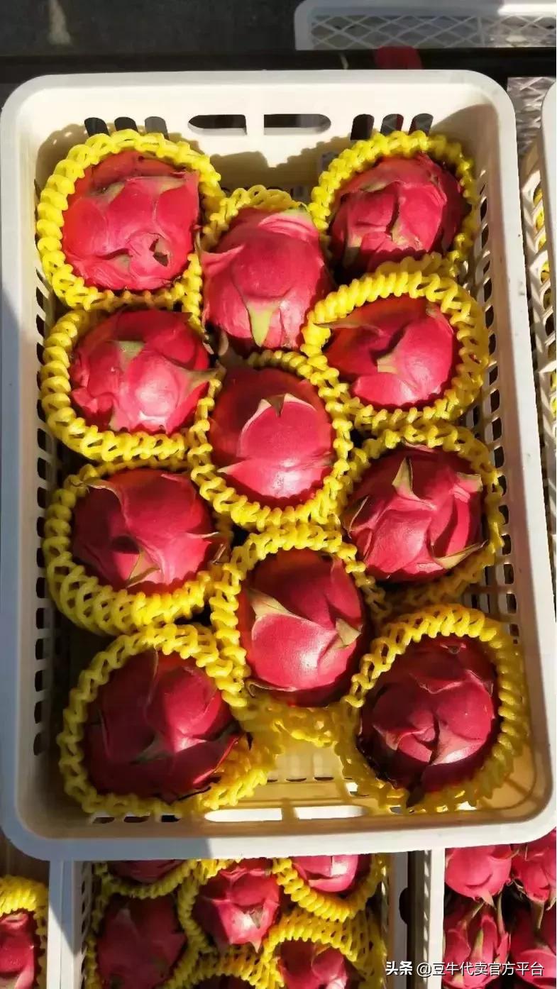 万邦水果价格最新行情,万邦水果行情