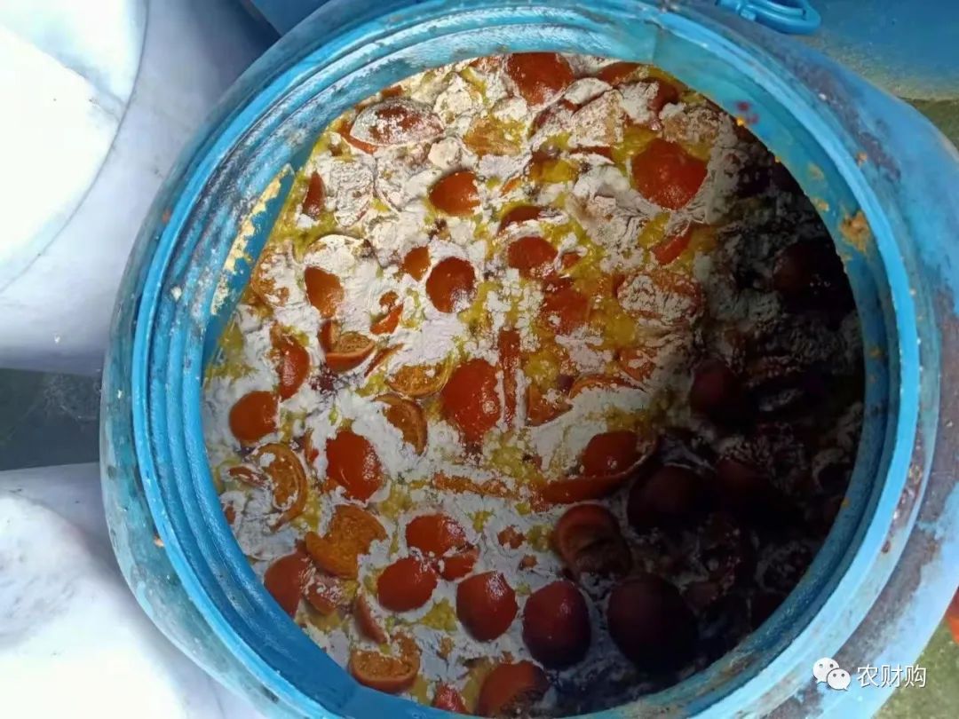 发酵好的酵素怎么样施肥,酵素肥料发酵无氧和有氧的区别