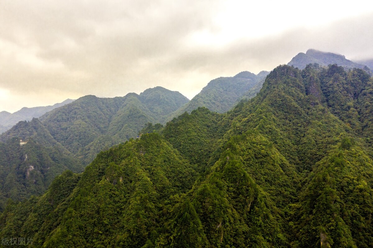 孟晚舟在张家界,孟晚舟来张家界旅游全视频