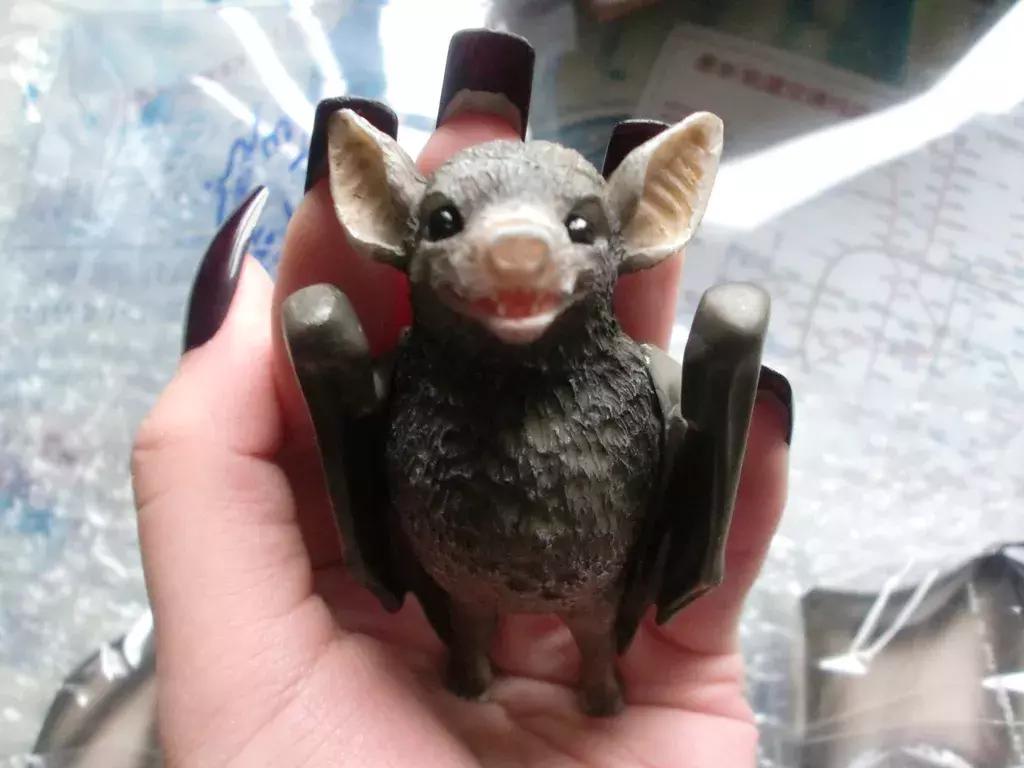 犬猫在什么情况下才会传染狂犬病,狂犬病是患病的猫才会传播的吗