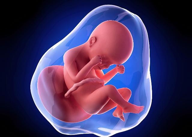 孕妇肚子大是不是胎儿就大,孕妇肚子大是不是羊水多的问题