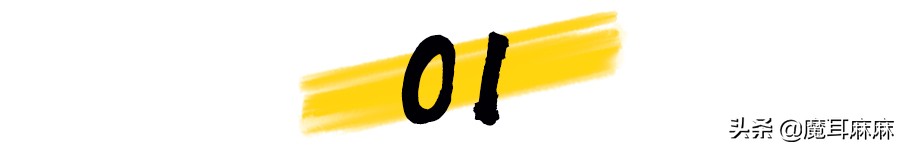 资深铲屎官都喂猫咪吃些什么,铲猫咪屎有注意事项吗