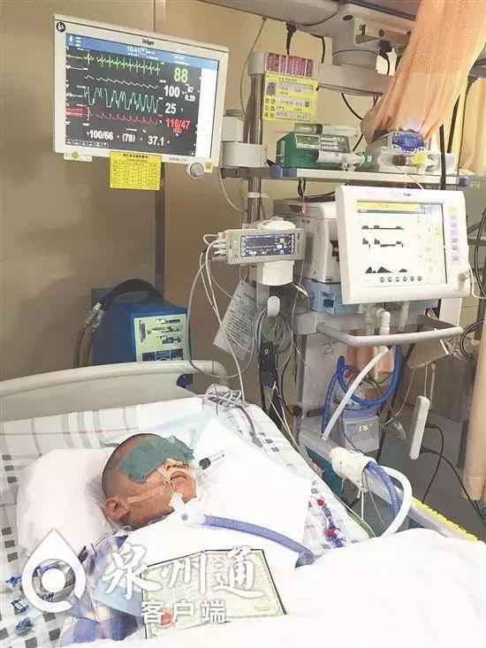 小心！近期这些毒虫出没频繁，已有数人被咬！可致命