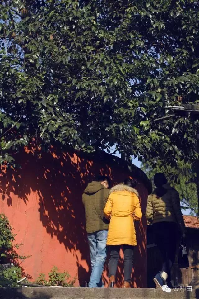 感受沅陵的魅力,不一样的沅陵