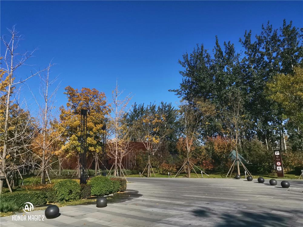 荣耀magic2最强手机,荣耀magic2是全系标配3d结构光吗