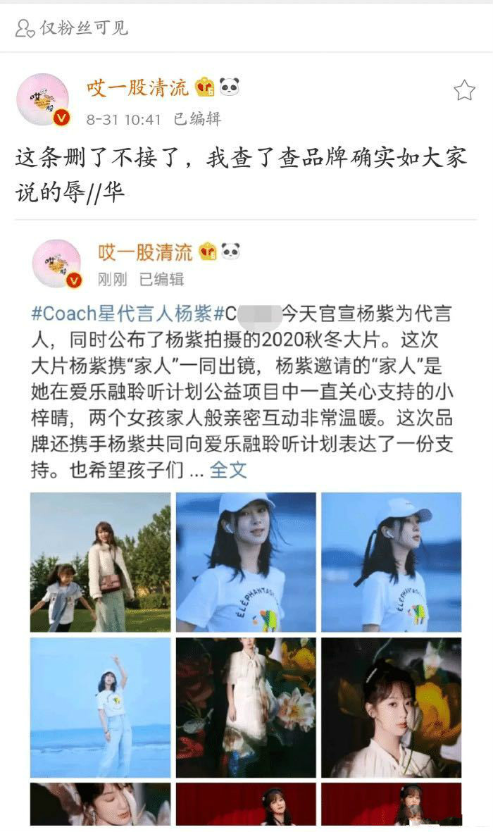 之前辱华的有哪些品牌,蔻驰辱华事件始末