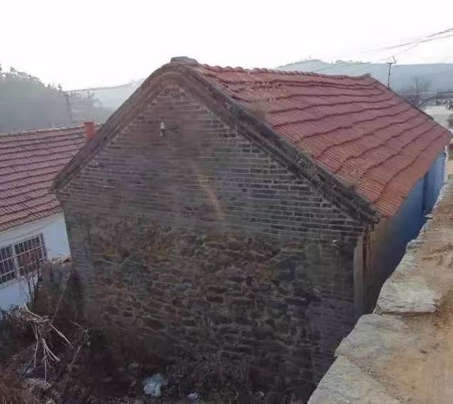 「社会扫描·村庄」莱阳榛子沟村探宝树