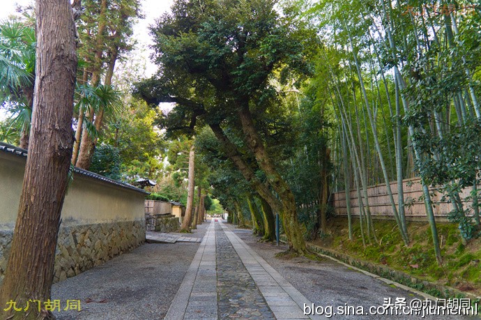 京都大德寺的庭院,织田信长墓地图片大全