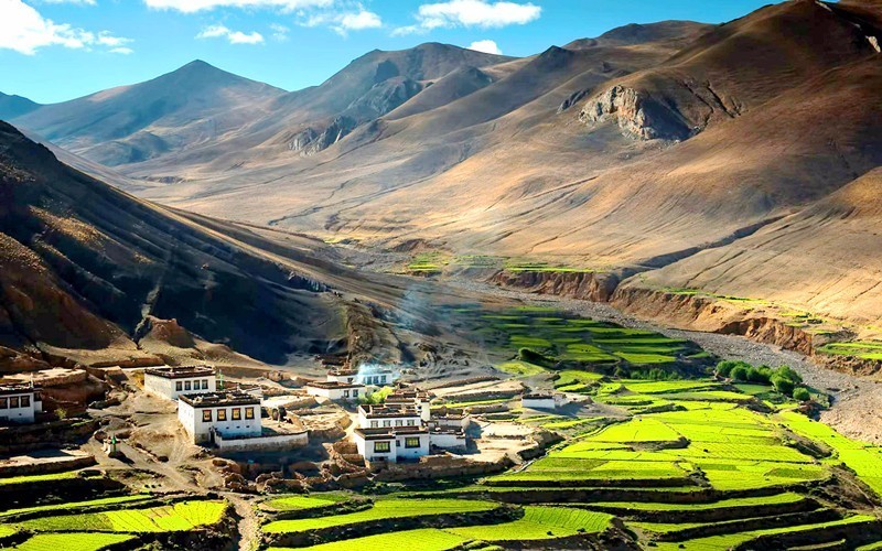 现在在农村里干的什么能赚点钱,现在农村种地之余做什么副业好