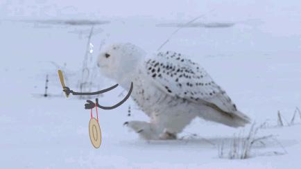 编辑部大公开|女生的一张脸平均要花掉两百万？