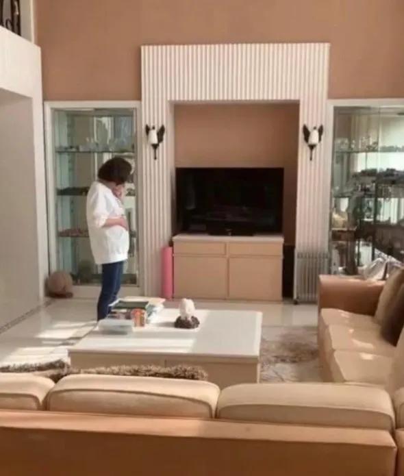 许家印香港豪宅被标售,许家印香港山顶豪宅有多大