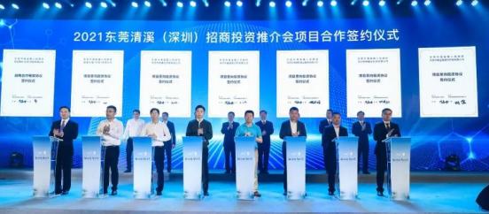 山窝里飞出一只金凤凰背面教学,山窝里飞出一只金凤凰广场舞