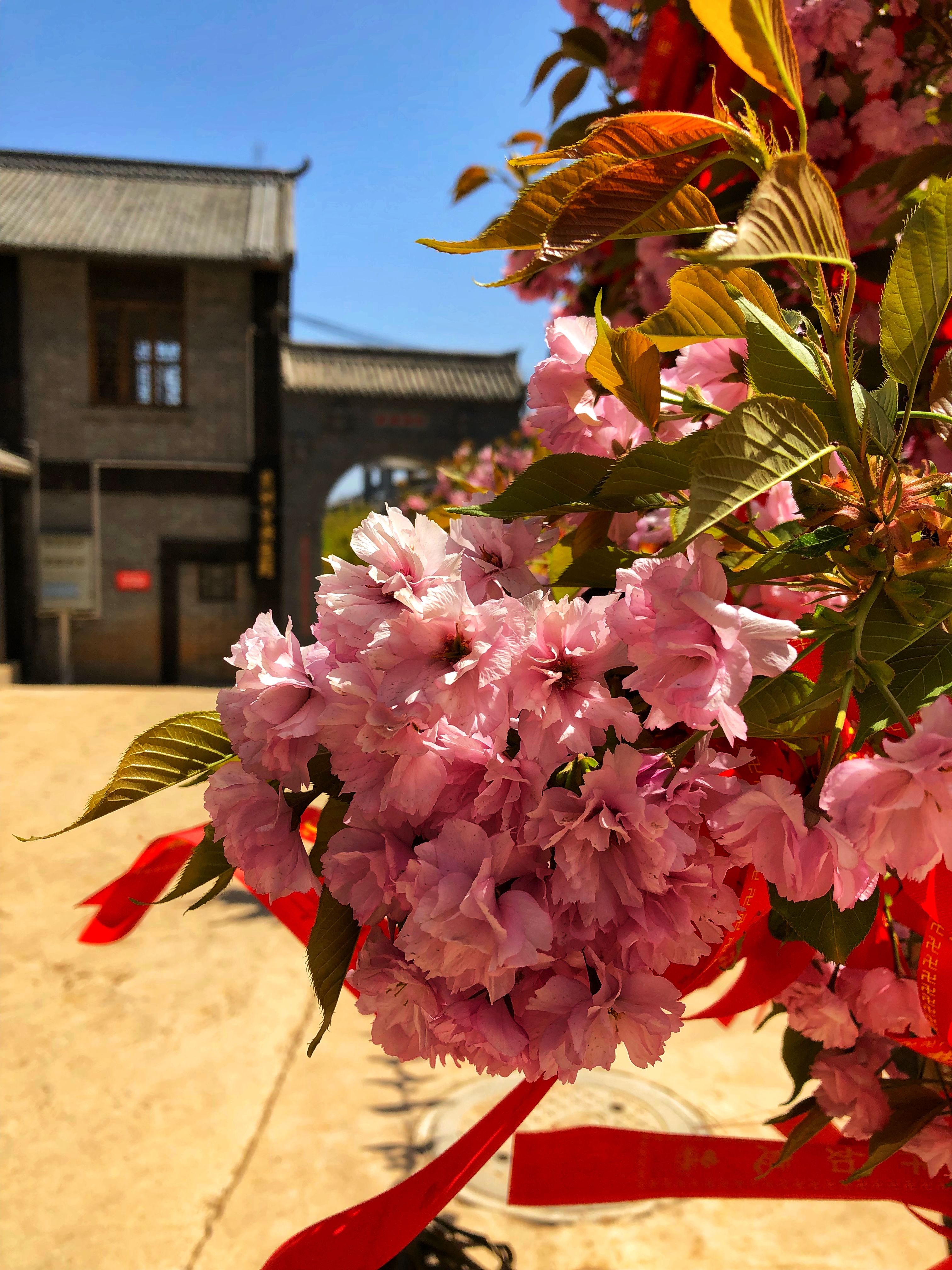 灵山话祝福,灵山祝福