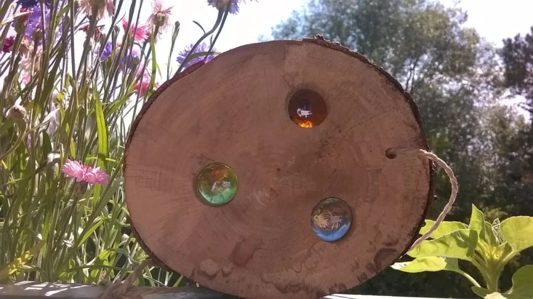 在中国被追捧的华德福，在德国却不受待见？