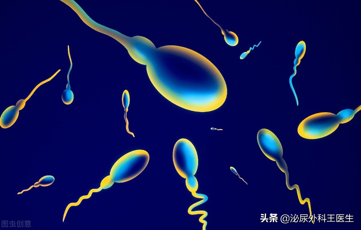 备孕提升精子质量的药,高龄如何提升精子质量