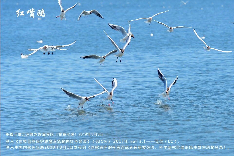 榻愰綈鍝堝皵瀚╂睙涓滄按鐝嶇鍏洯,榻愰綈鍝堝皵瀚╂睙涓滄按鐝嶇婀垮湴鍏洯