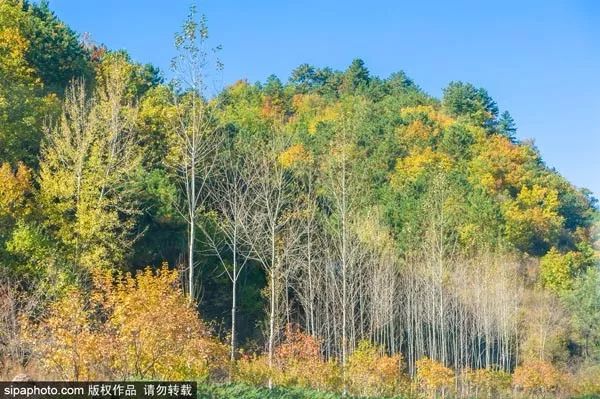 10月北京最佳小众旅行地！绝不能错过的秋色，到底有多美？
