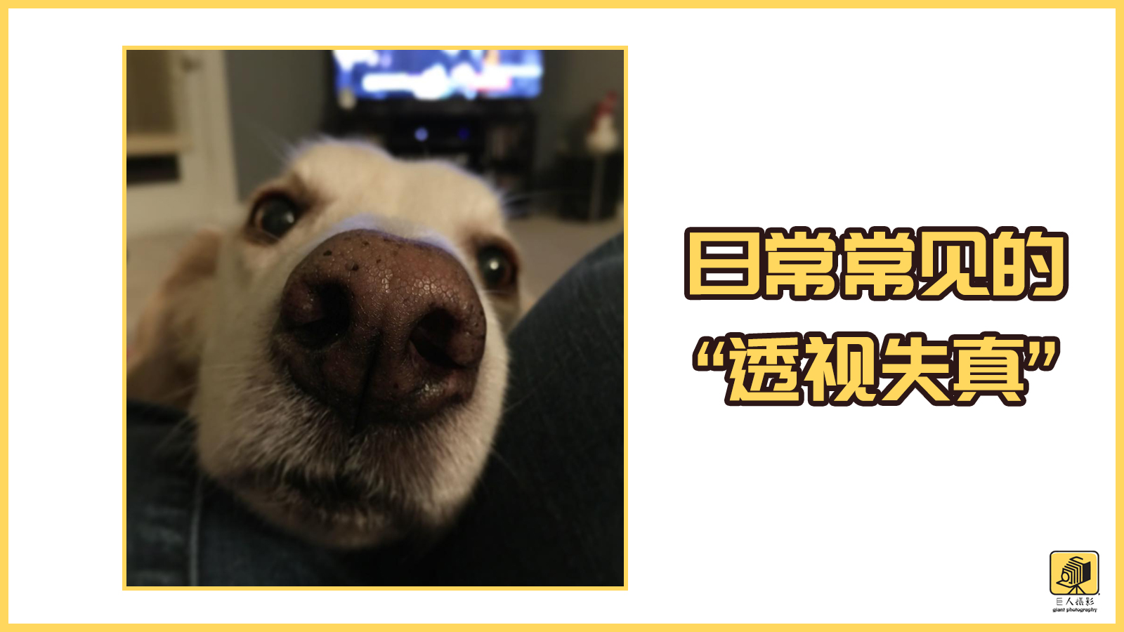 镜头的线性失真,镜头失真是什么意思啊