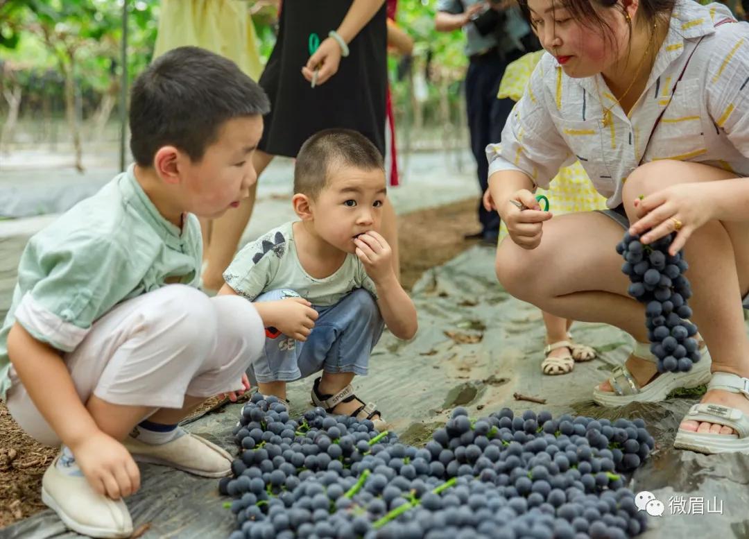 李子柒令人向往的世外桃源生活,李子柒记录的简单淳朴的田园生活