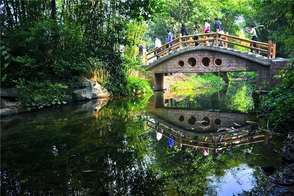 郑州春节周边景区免费景点大全,春节赏花的好去处