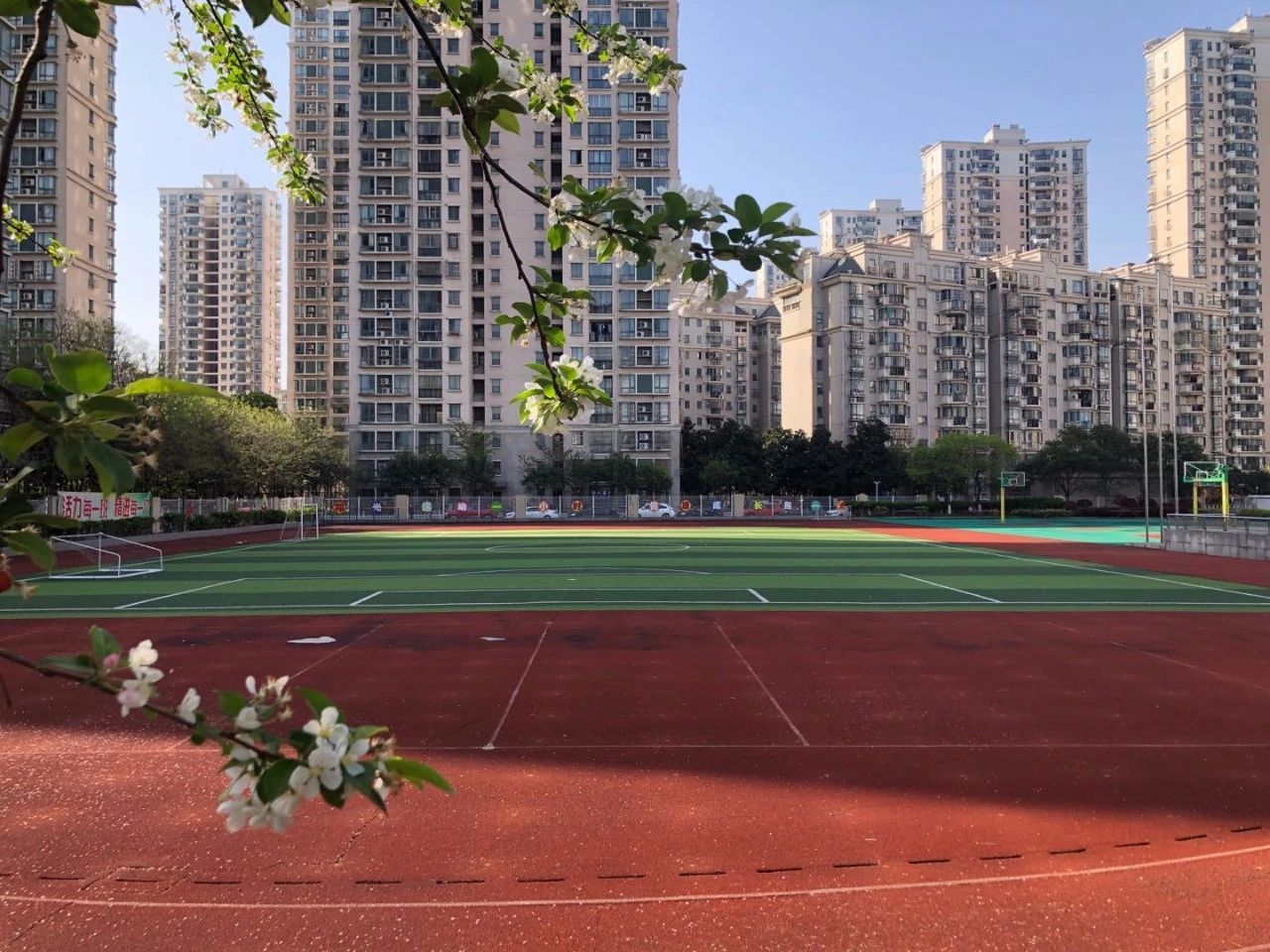 名校力量|她是琅小跨江发展第一校