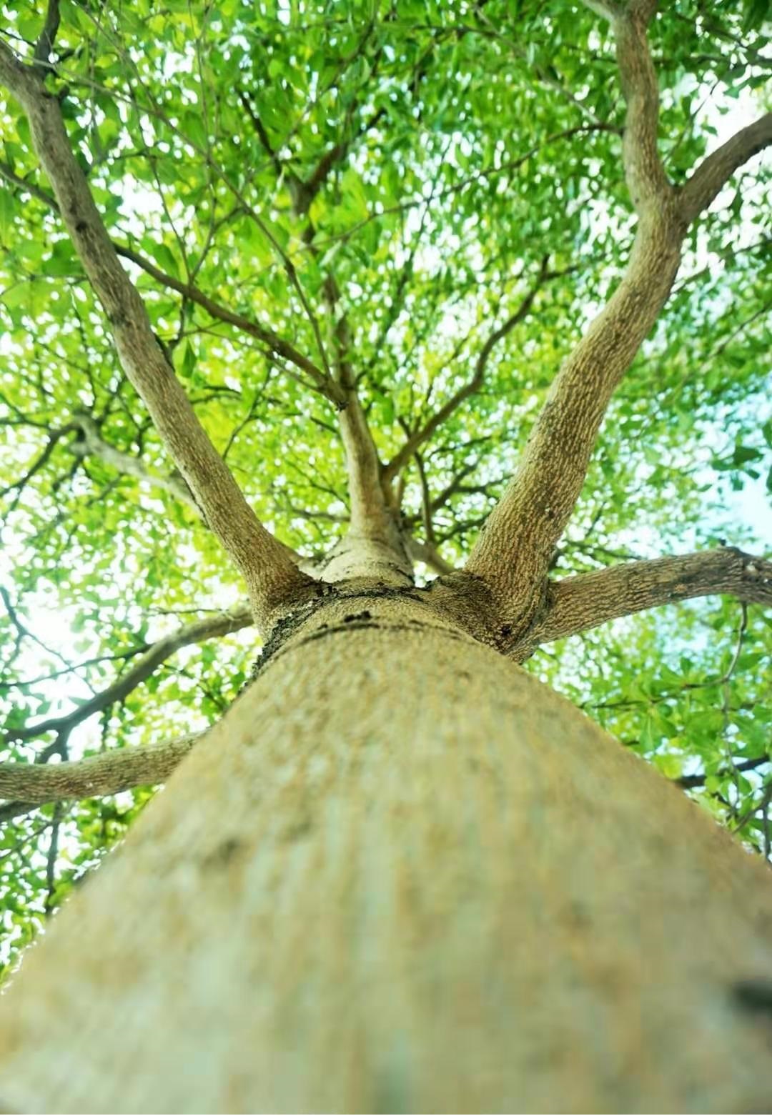 广西省南宁市适合居住养老吗,广西南宁哪个县最适合养老