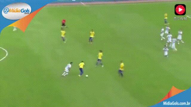 塔尔德利技战术,巴西国脚塔尔德利简介