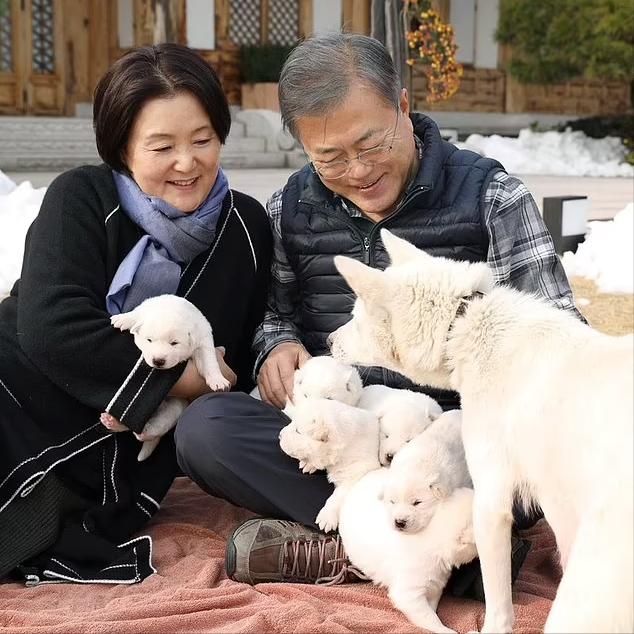 为什么狗有狂犬病人还要吃狗肉,狗有狂犬病人为什么还吃狗肉