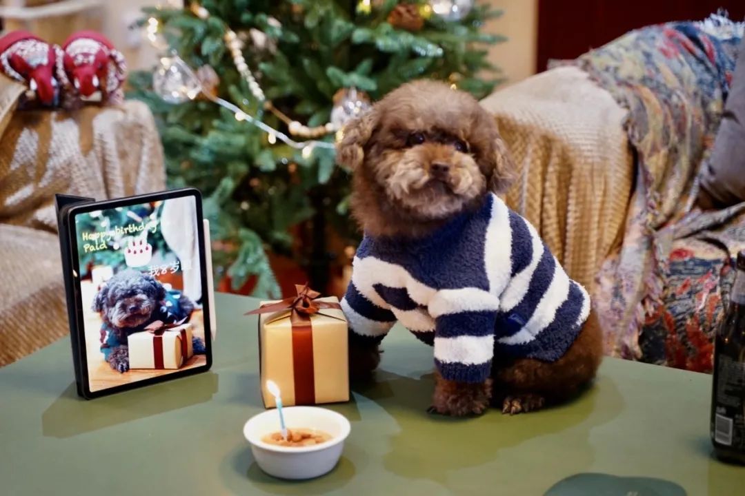 你的专属好物分享,你爱的好物分享