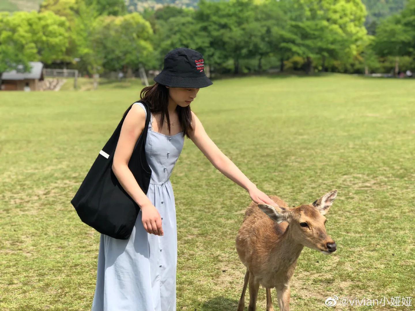 日本大阪旅游攻略大全视频,日本大阪旅游攻略博主