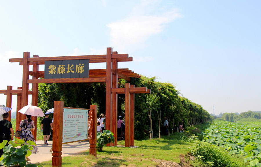 「淮安市作家“相约荷花荡”采风作品展」赵海洋:何不载荷归