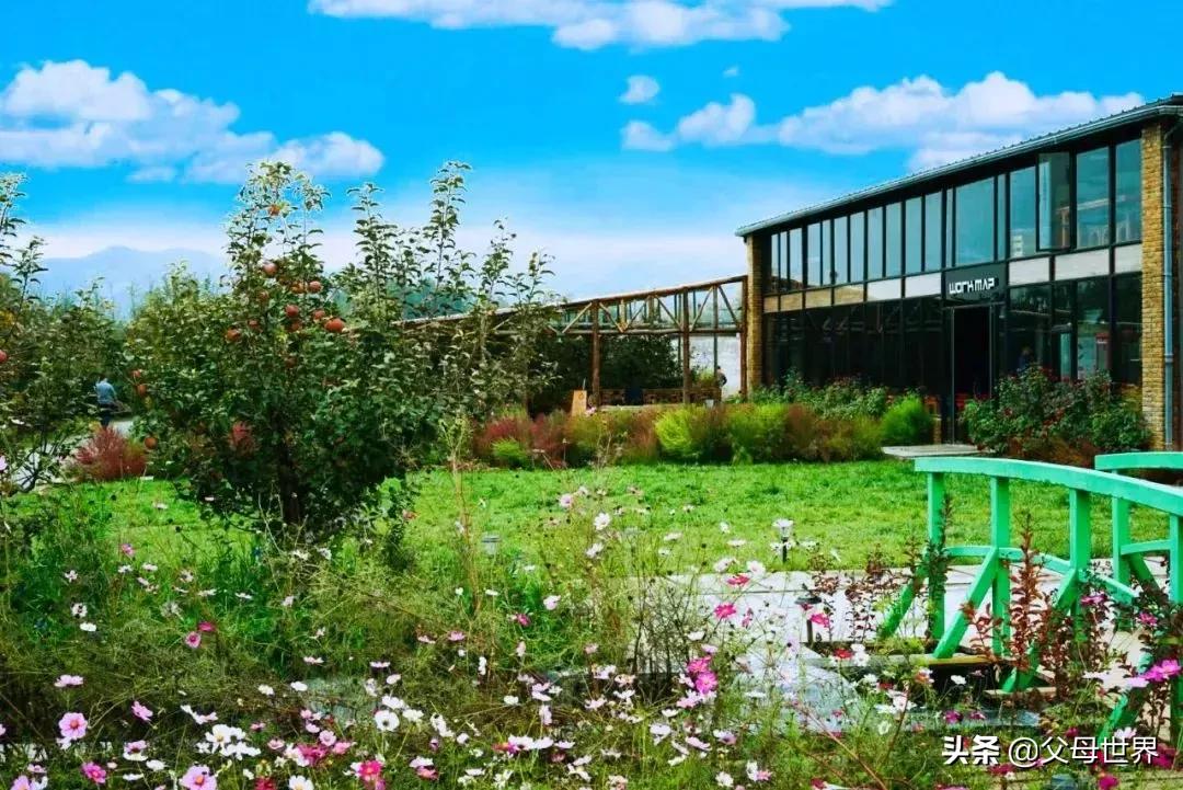 国内不太偏的亲子小众旅游 (全球最适合亲子游的十大旅游胜地)