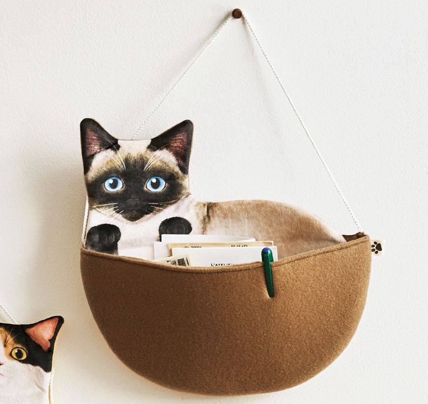 日本人又来骗猫奴们的钱啦!但我心甘情愿掏钱了!