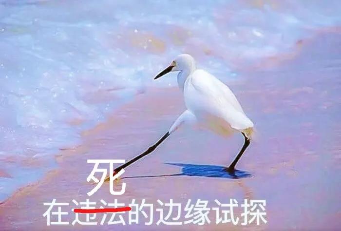 怎么区别鸭血和鸡血的区别,鸡血鸭血有什么区别